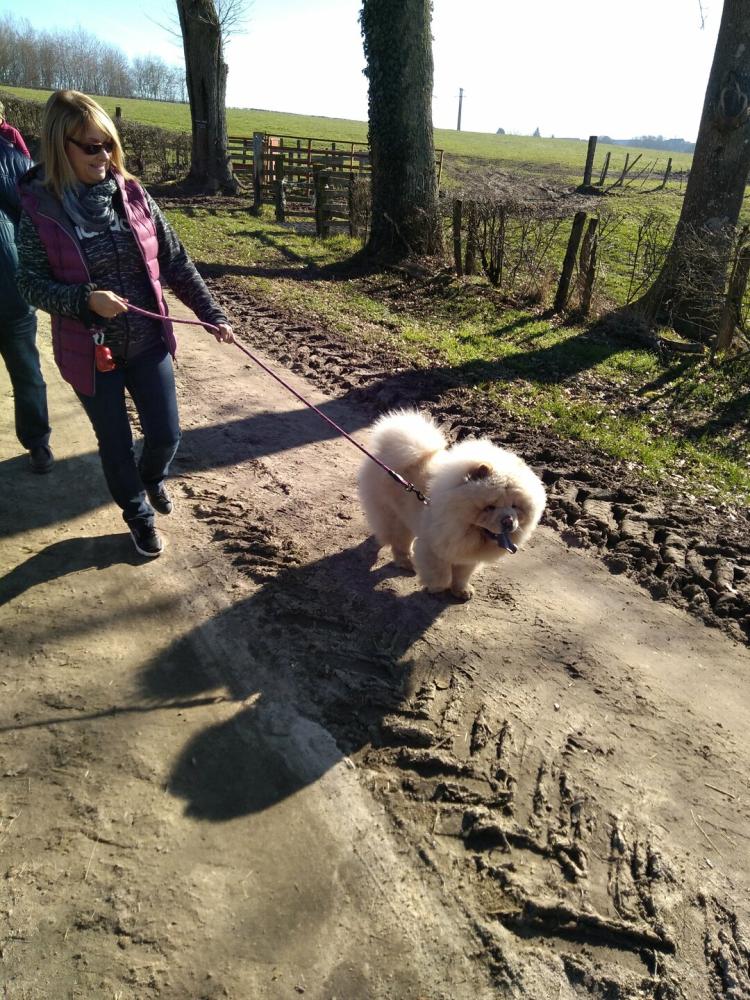 chien (4)