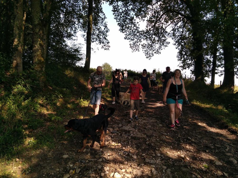 chien (12)
