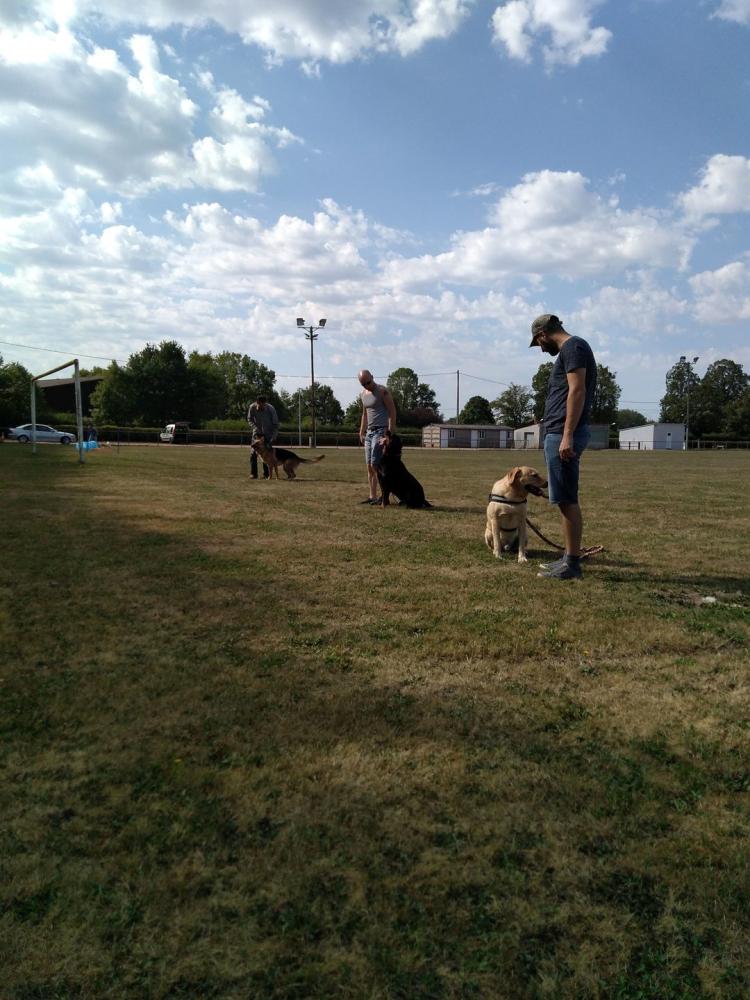 chien (13)