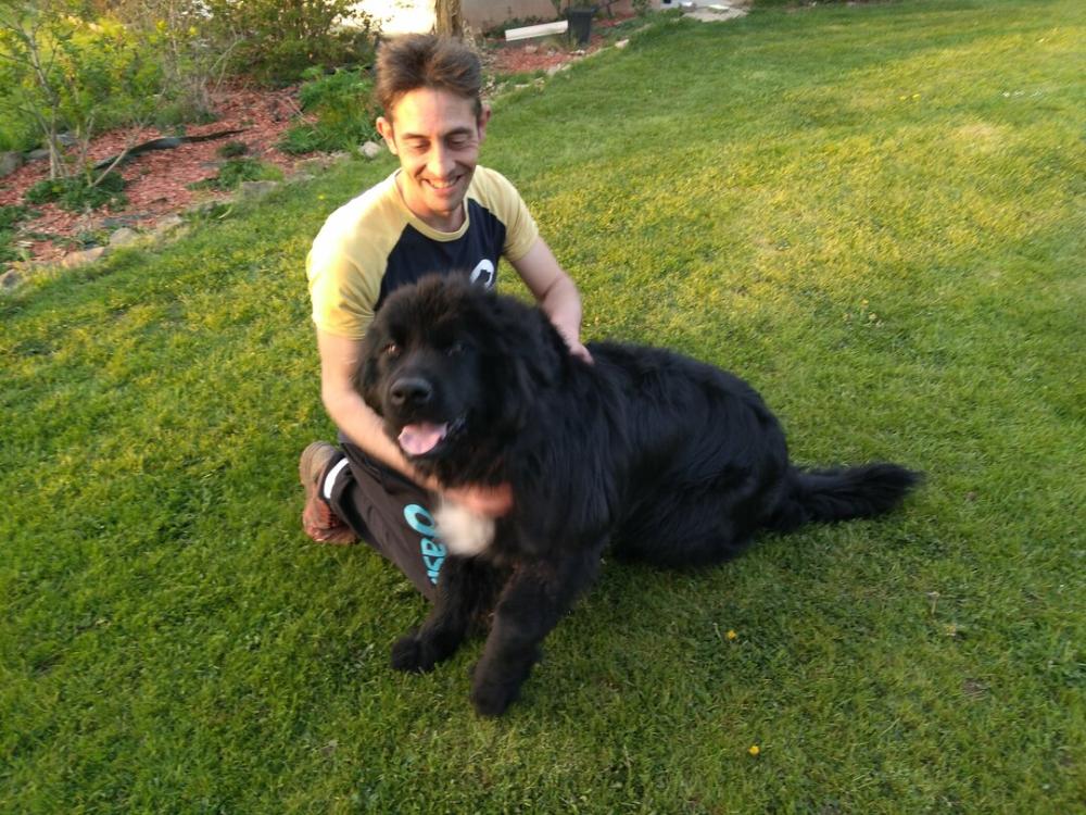 chien (20)