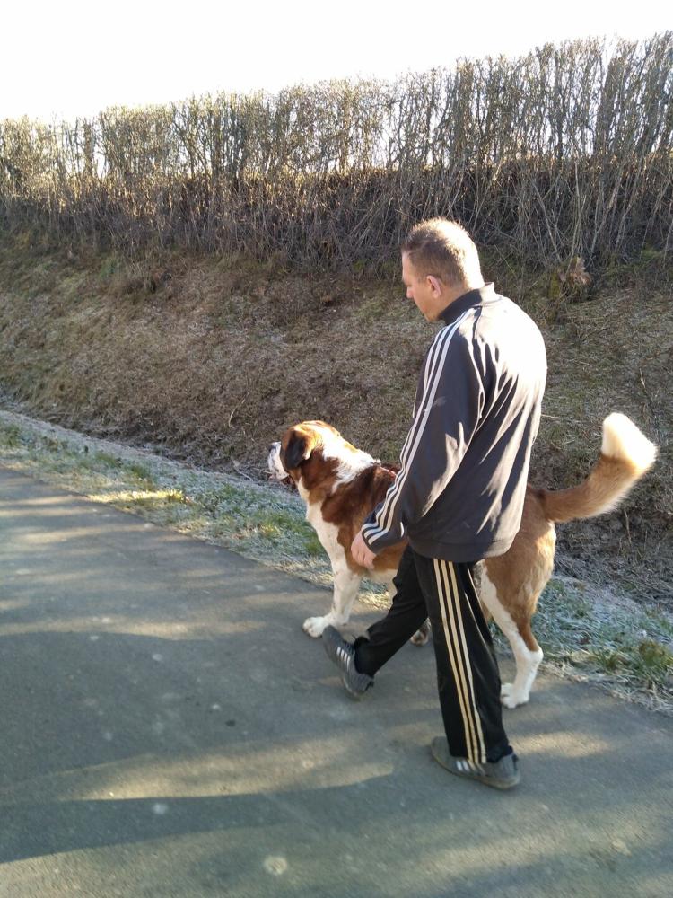 chien (24)