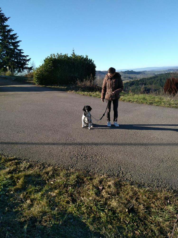 chien (37)