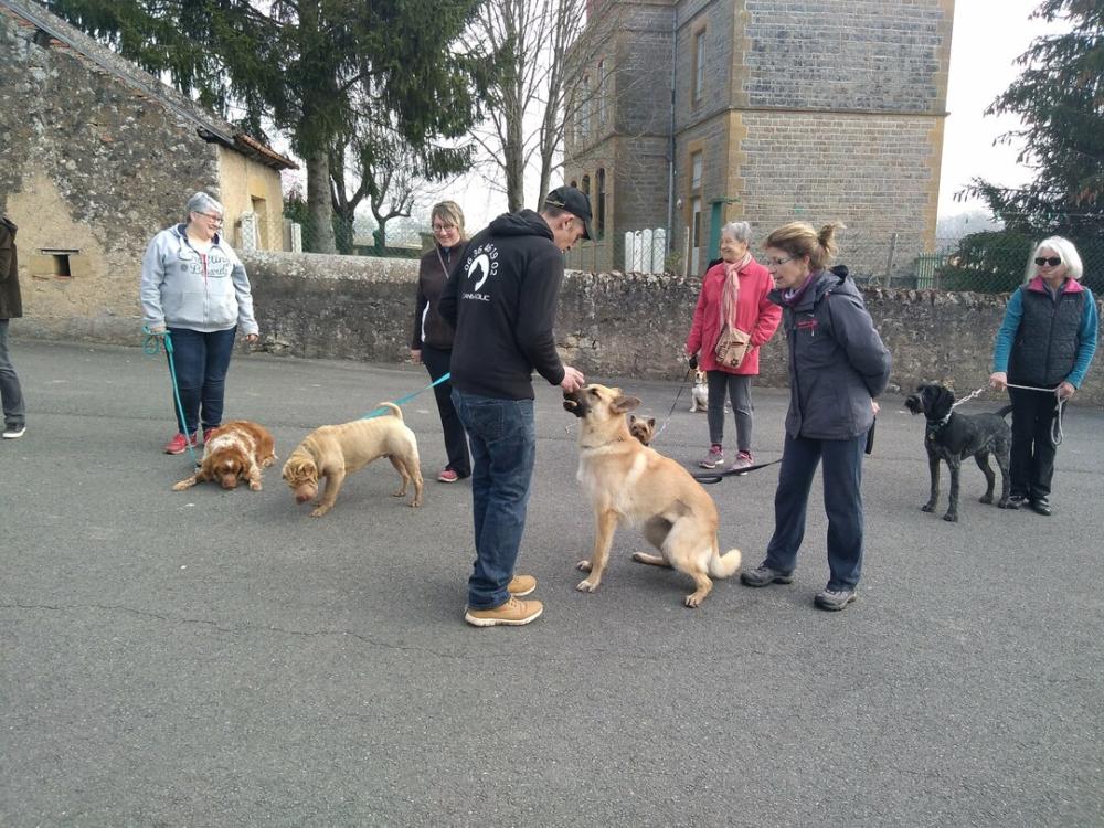chien (30)