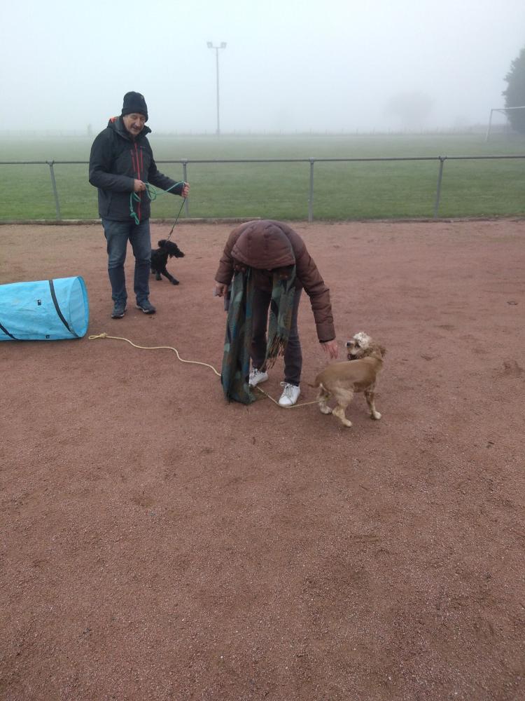 chien (56)