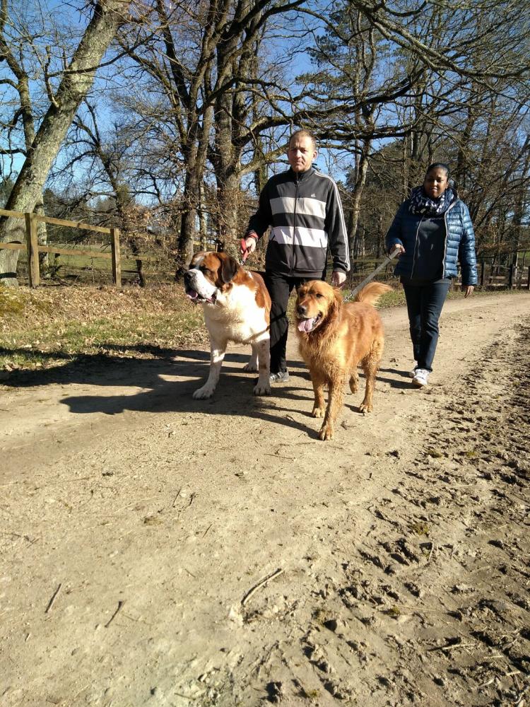 chien (79)