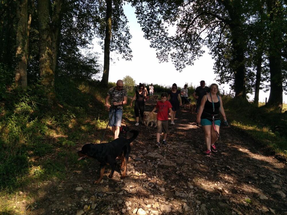 chien (99)