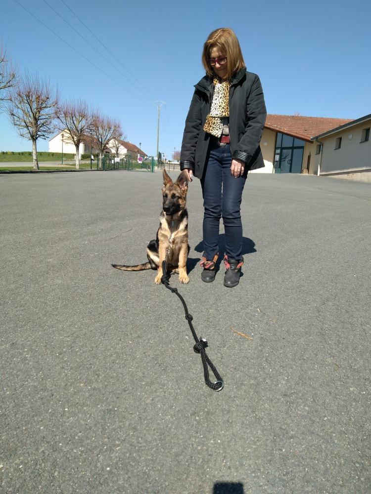 chien (110)