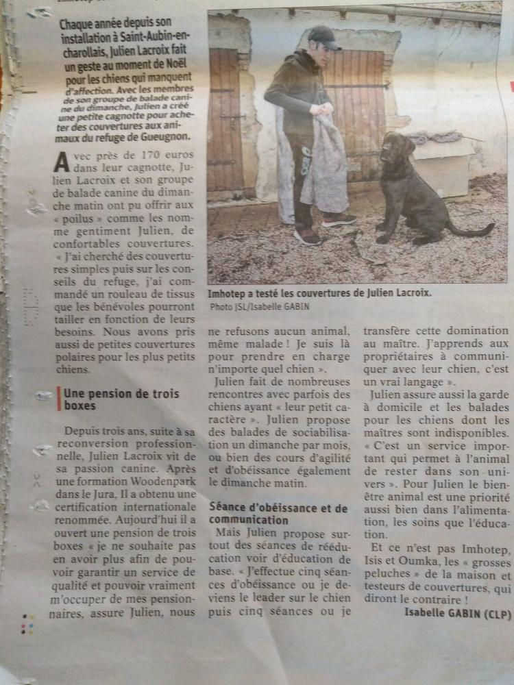 chien (155)