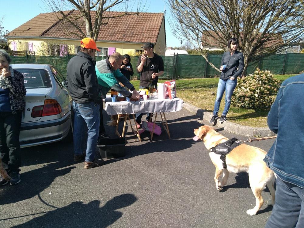 chien (177)
