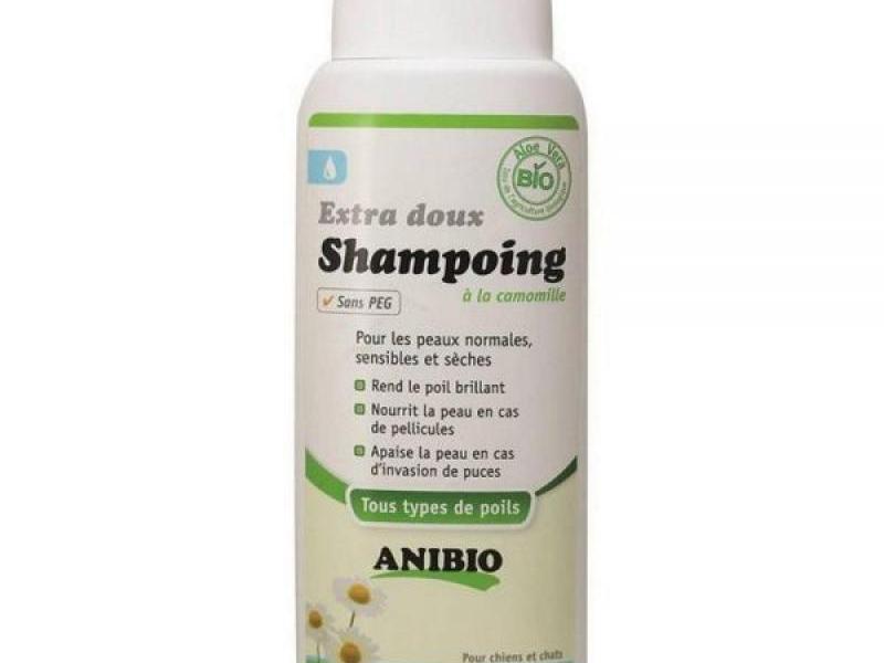 Shampoing chiens et chats